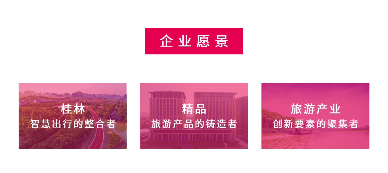 企业愿景.jpg